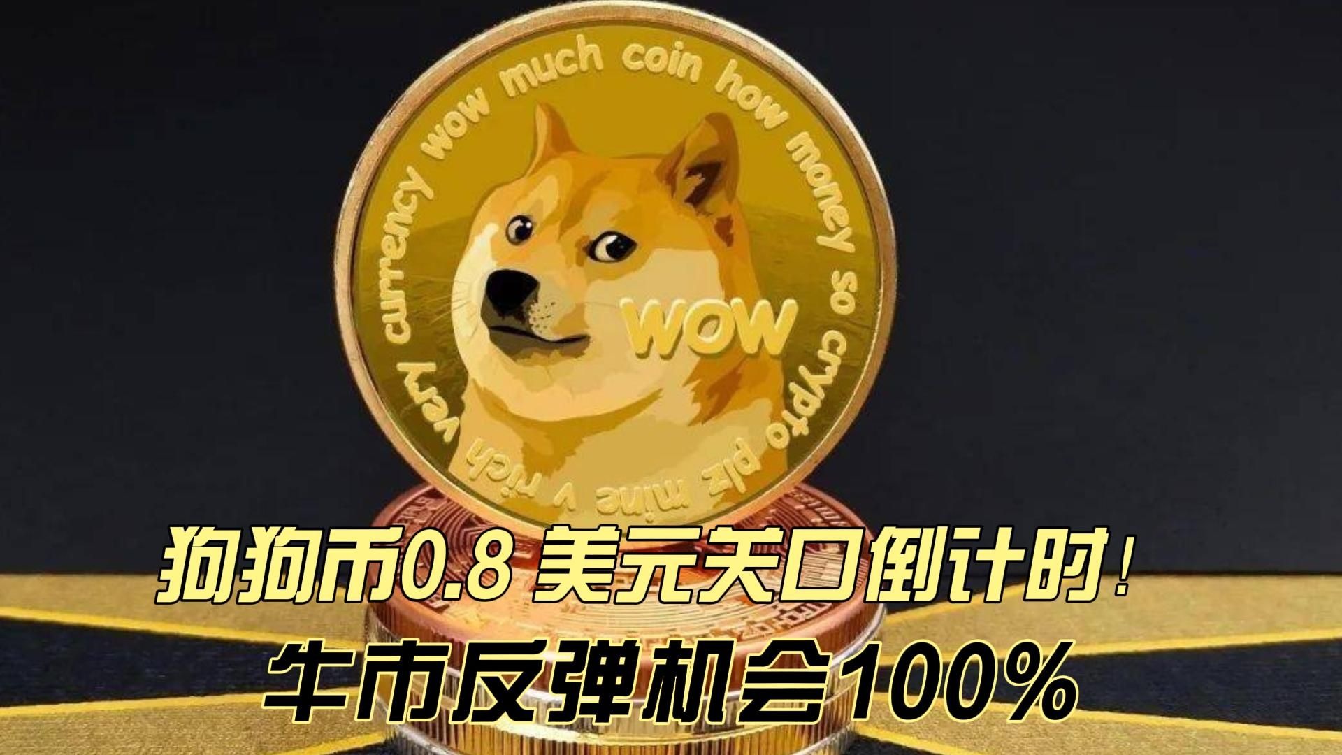 最新官网入口狗狗币冲破16.95美元大关,牛市是否已来临?